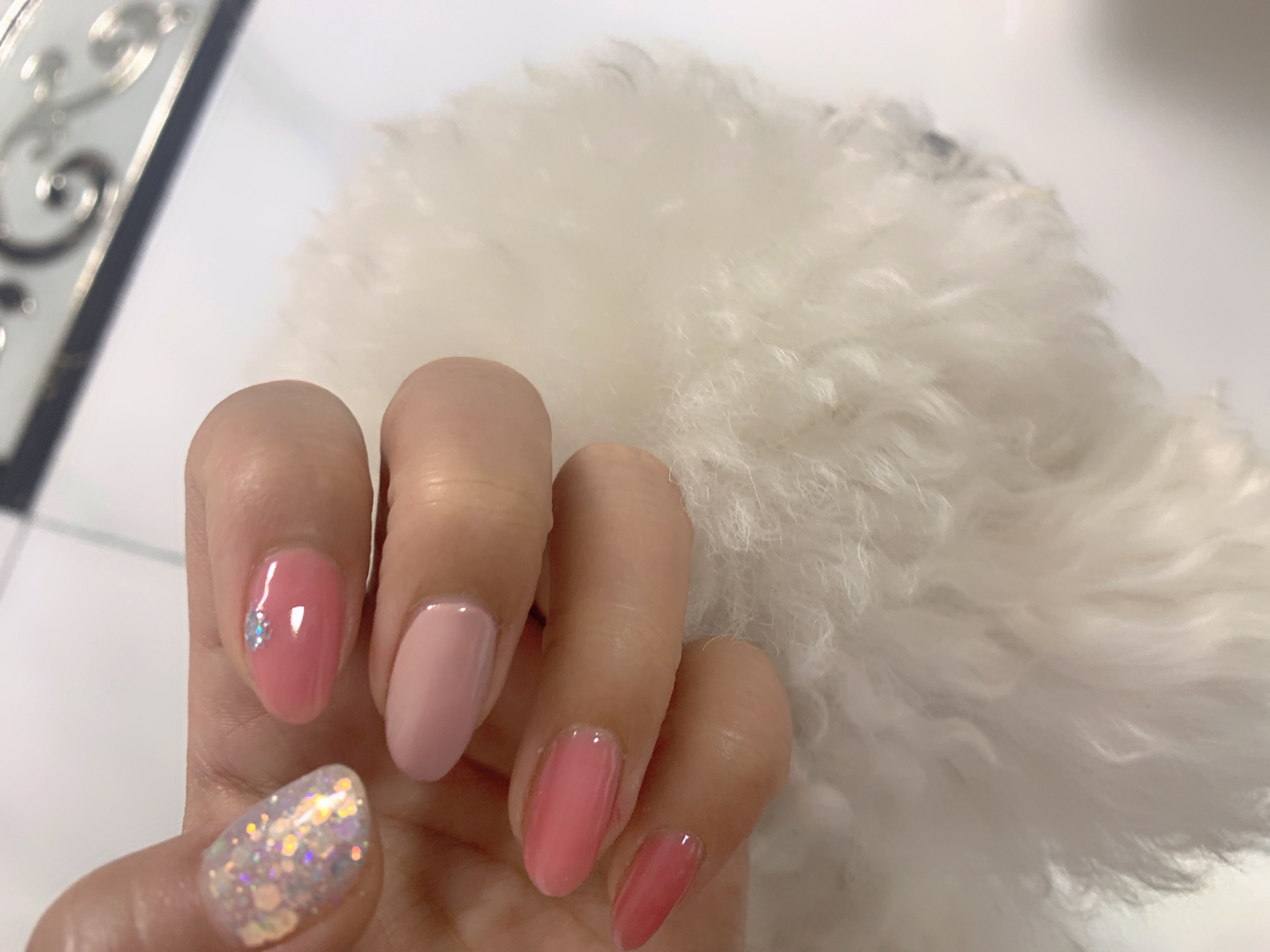 第5次 我的夏天是:人间水蜜桃 椰子灰雪糕 可爱的莎莎