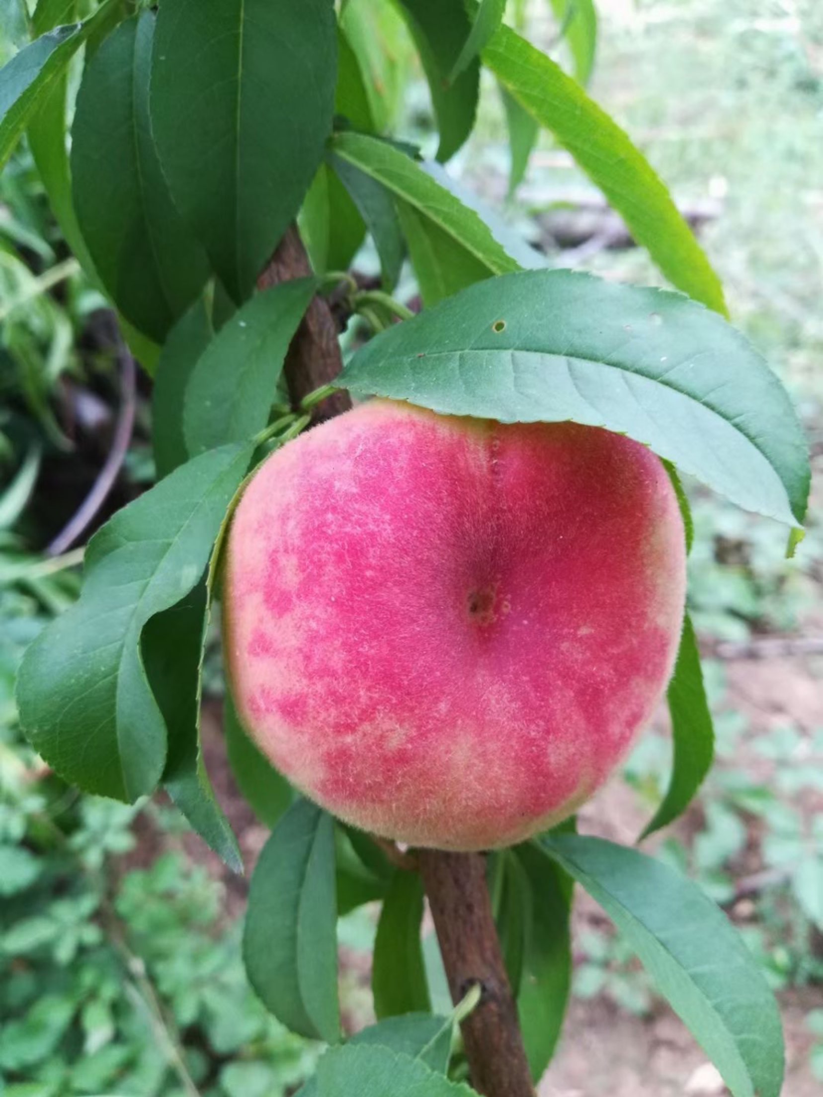 完成户外跑步3.02公里, 14分33秒