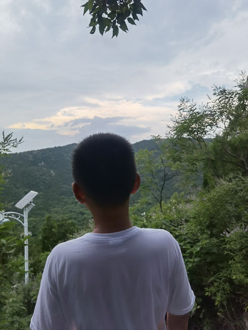 完成   分钟瘦脸瘦下巴·猫叔慢跑 第4次