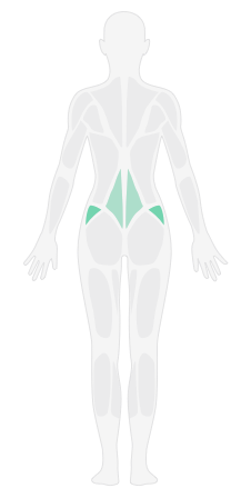 back