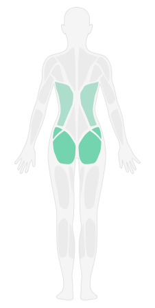 back