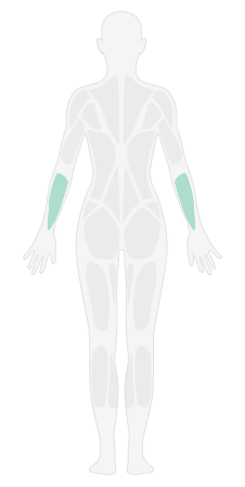 5c381cefa29e343bd8990ce0_female_back?v=202002010526