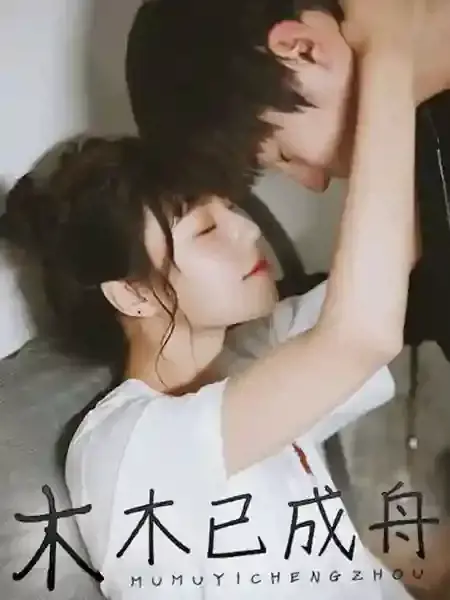 木木已成舟