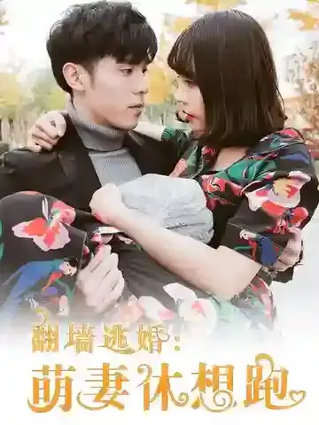 翻墙逃婚：萌妻休想跑