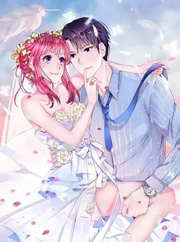 枕上婚之萌妻入侵全文免费阅读漫画