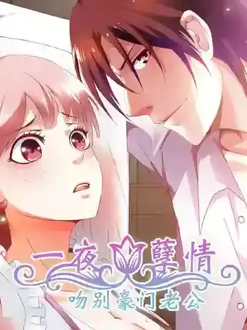 一夜孽情